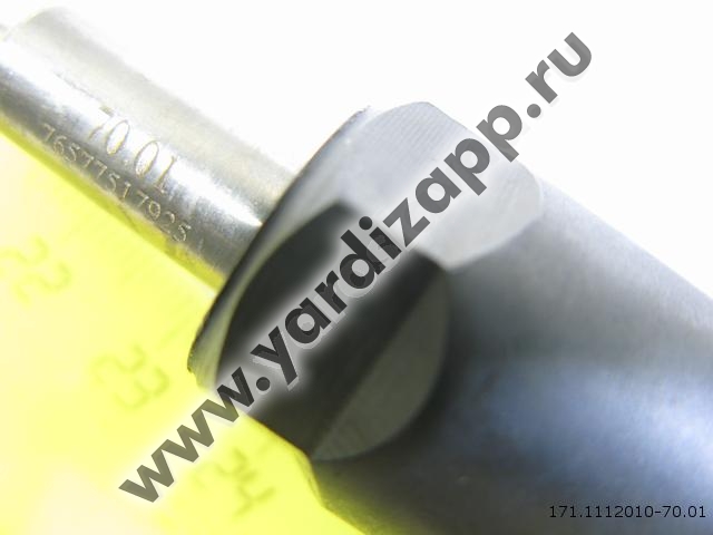 Форсунка 171 01